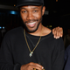 Frank Ocean in 2014
David M. Benett/Getty Images for Mondrian Hotel